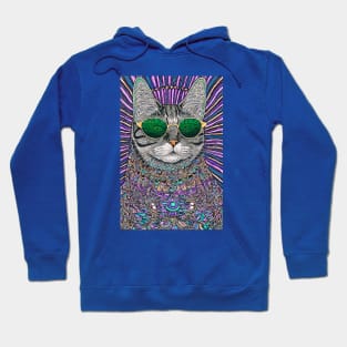 Cosmos Cat Wearing Sunglasses- Meridian! Hoodie